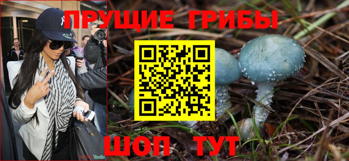 Бузулук  Галлюциногенные грибы Psilocybine cubensis  Вход с VPN  Галлюциногенные грибы Psilocybe 